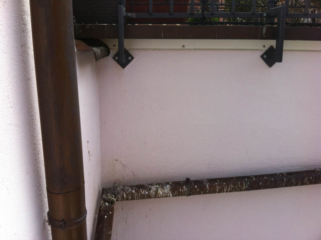 Ätzender Taubenkot auf einem Regenfallrohr. Auch die Fassade wird dabei in Mitleidenschaft gezogen